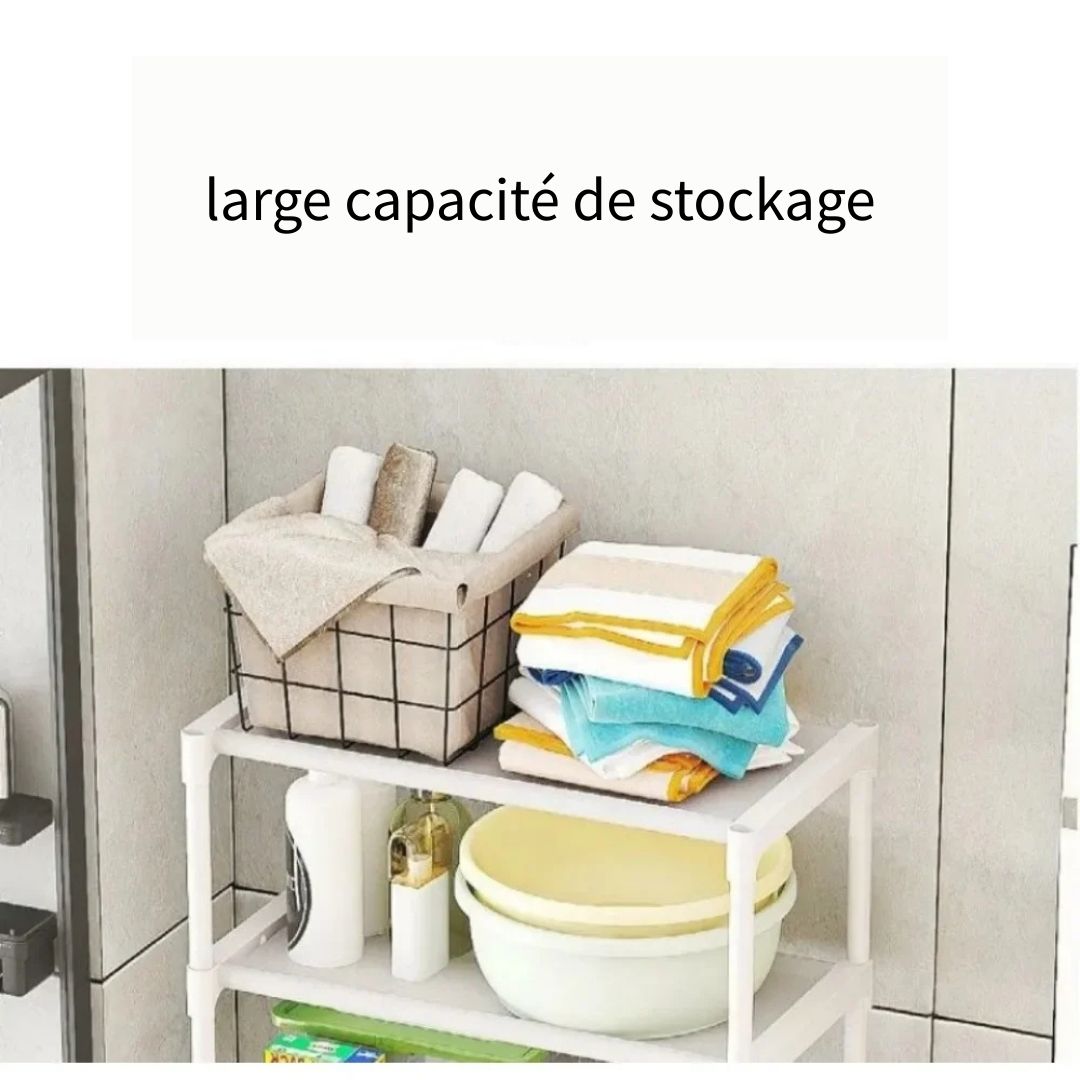 Etagère de Toilette