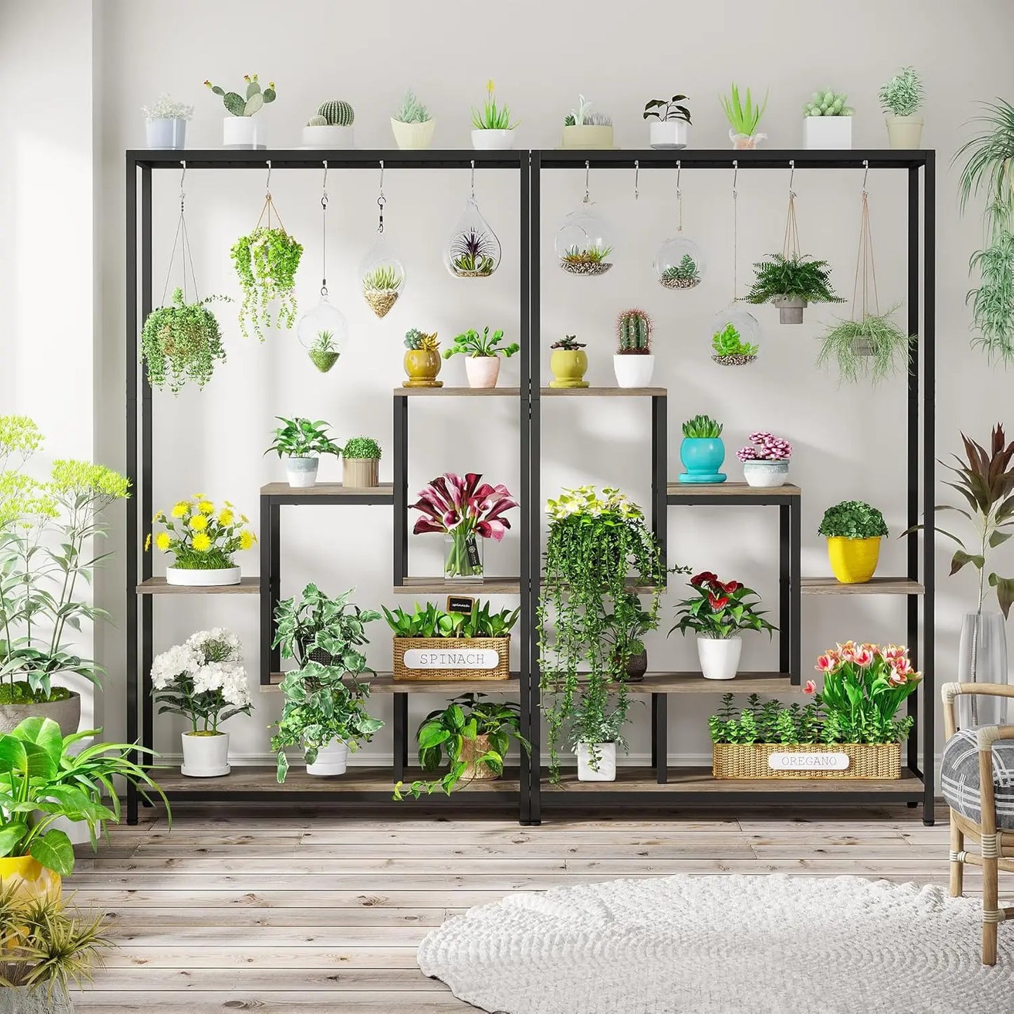 Etagère pour plantes Intérieures